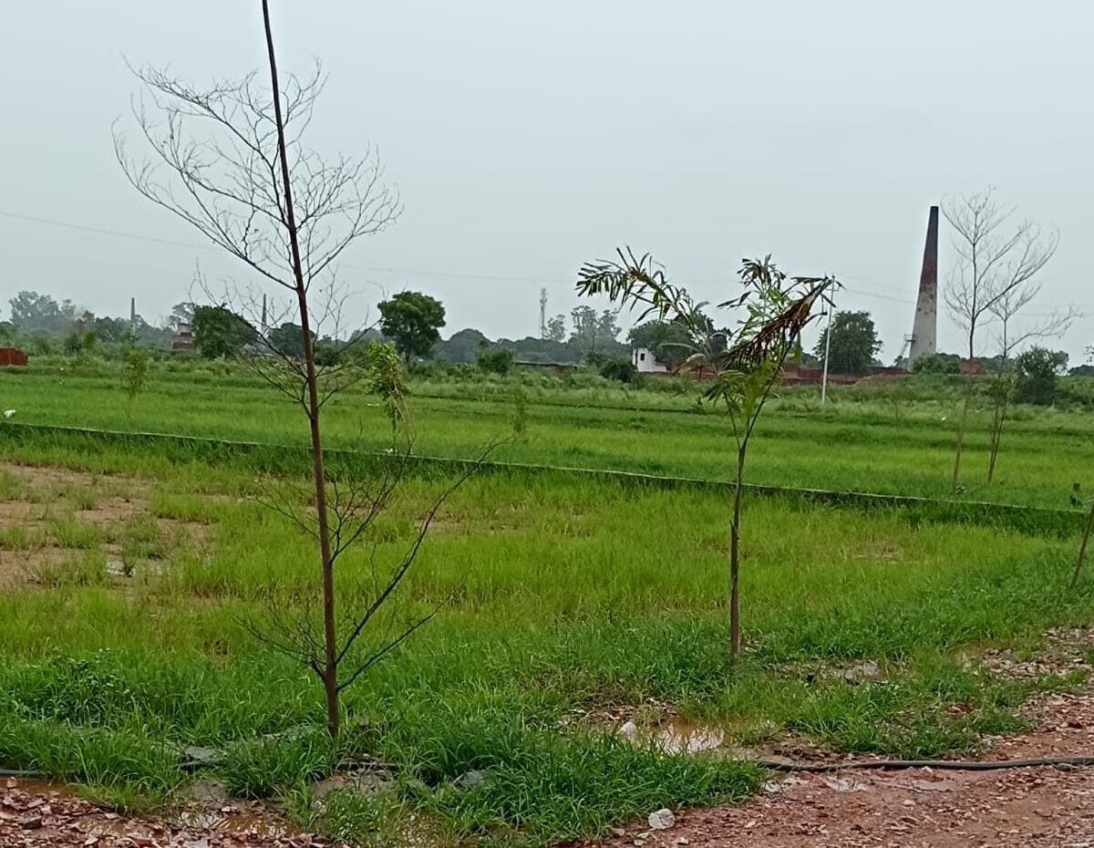 Sunrise Enclave Site Image